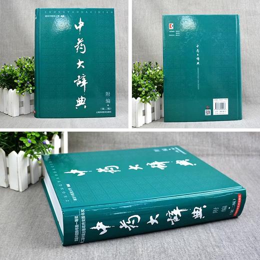 中药大辞典 附编 第二版 南京中医药大学 编著 药材名称注音大型综合词典中药学工具书籍 上海科学技术出版社9787532390267 商品图4
