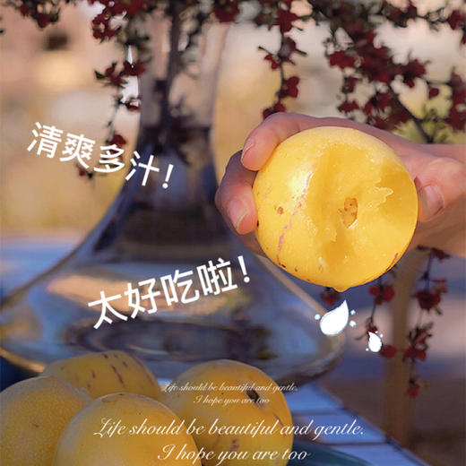 【云南石林树上熟的人参果】清甜补水  肉香皮薄  清甜多汁  无核化渣 营养低糖 商品图8
