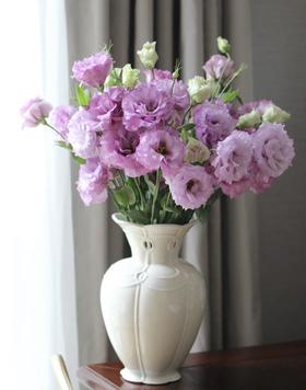 【周四秒杀】紫色波浪桔梗花一份49.8元