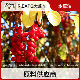 五味子精油单方精油原料批发芳疗护理调香香薰 大篷车精油