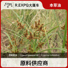 香附精油原料批发芳疗护理调香推拿按摩本草精油Cypevol