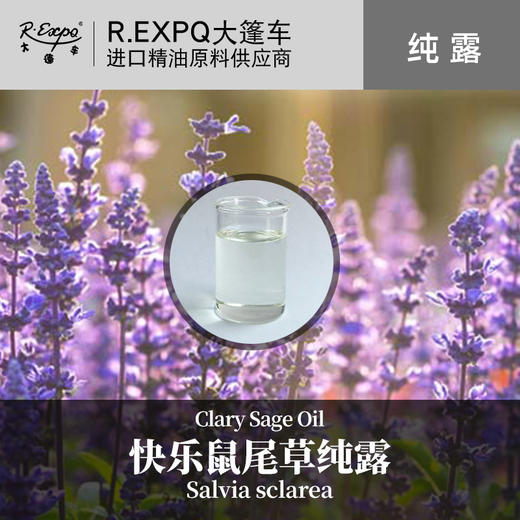 快乐鼠尾草纯露 印度原料批发 面部按摩花水纯露批发 美容院适用 商品图0