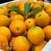 特级蜜蛋金柑（500g） 商品缩略图4