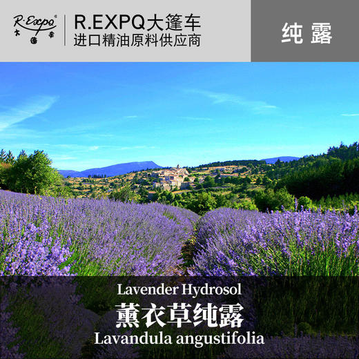 薰衣草纯露 印度原料批发 面部按摩花水纯露 美容院线适用纯露 商品图0