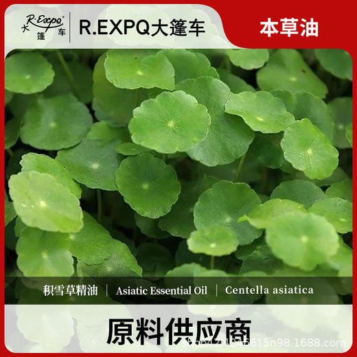 积雪草精油原料批发芳疗护理调香推拿按摩本草精油Asiatic 商品图0