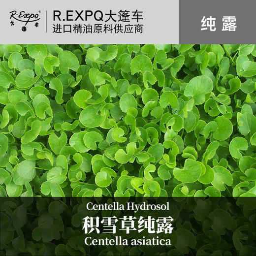 积雪草纯露 印度原料批发 美容院面部SPA按摩花水纯露 1KG起批 商品图0