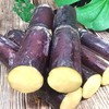 【黑皮甘蔗！甘甜多汁】新鲜水果应季特产，整箱水果甜柑果蔗，嘎嘣脆爽 甜蜜多汁，新鲜美味营养 果肉通透诱人 看着流口水 hh 商品缩略图0