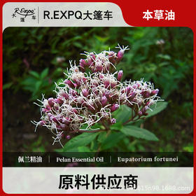 佩兰精油原料批发芳疗护理调香推拿按摩本草精油Pelan