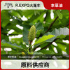 厚朴精油原料批发芳疗护理调香本草精油Honokiol 商品缩略图0