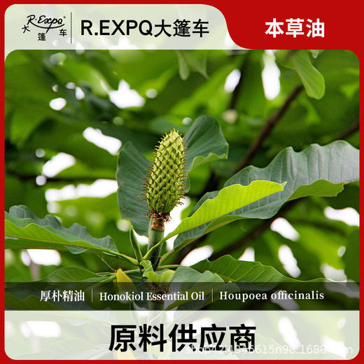 厚朴精油原料批发芳疗护理调香本草精油Honokiol 商品图0