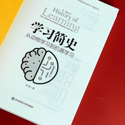学习简史 从动物学习到机器学习 人类学习的本质 李韧 商品图5