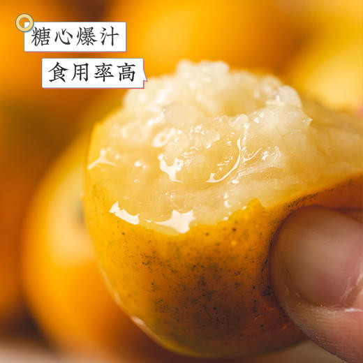 广西融安  滑皮金桔  多规格任选 商品图2