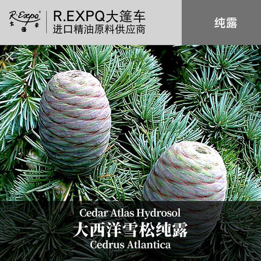 大西洋雪松纯露原料批发 面部按摩花水纯露批发 美容院适用 商品图0