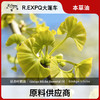 银杏叶精油单方精油原料批发芳疗护理调香香薰 大篷车精油 商品缩略图0