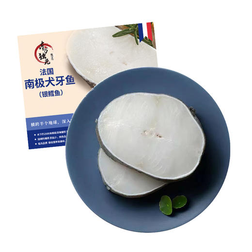 【独元】法国南极犬牙鱼（银鳕鱼）中段切片200g/盒（单片）*2盒 商品图3