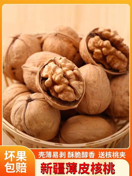 新疆核桃 商品图0