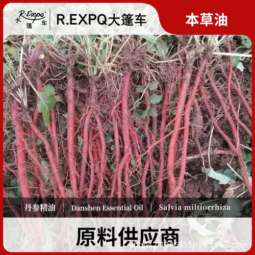 丹参单方精油原料批发芳疗护理调香精油Danshen 商品图0