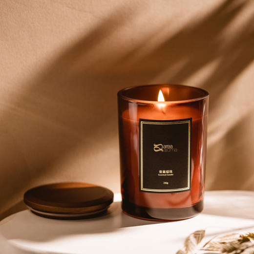 艾瑞尔香薰蜡烛家用氛围感240g香蜡 商品图1