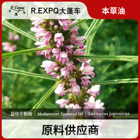 益母草精油原料批发芳疗护理调香按摩本草精油Motherwort
