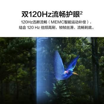 华为（HUAWEI）Vision智慧屏SE3 55英寸 Mate60投屏好搭档 4K超高清 商品图5