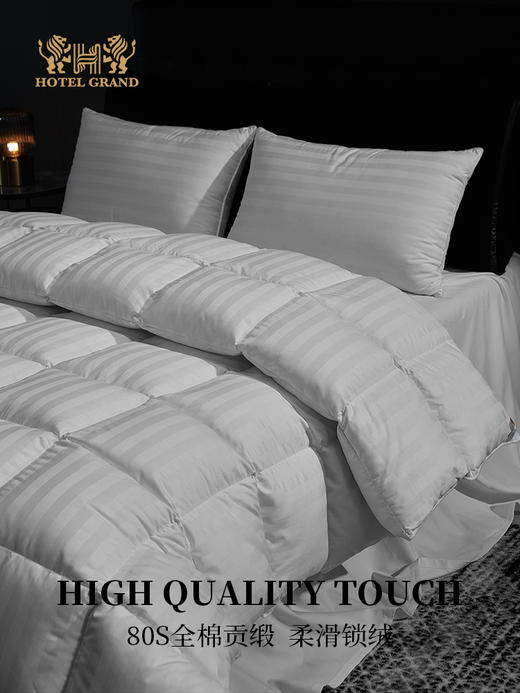 南法之梦白鹅绒冬被 商品图4