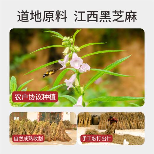 红枣黑芝麻丸600g【300g*2瓶】 商品图3