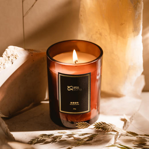 艾瑞尔香薰蜡烛家用氛围感240g香蜡 商品图0