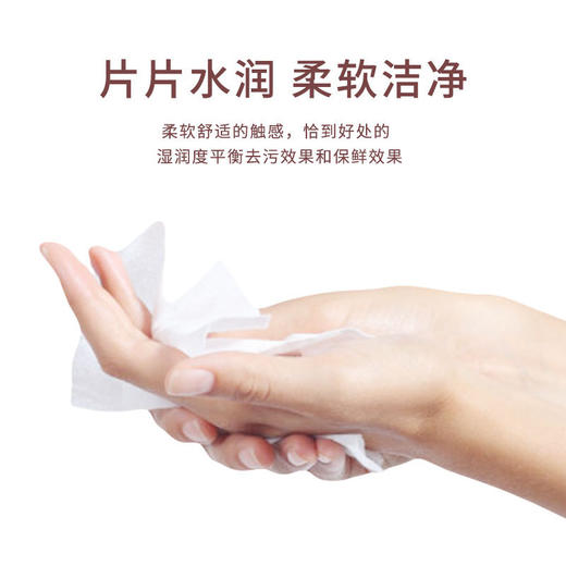 「拍1发2！9.9元到手两包」婴儿湿巾一次性80抽婴幼儿用大包婴手口绵柔湿巾清洁宝宝洗护湿纸巾 商品图3