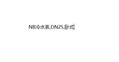 NB冷水表,DN25,卧式,球铁,不带阀 商品图0