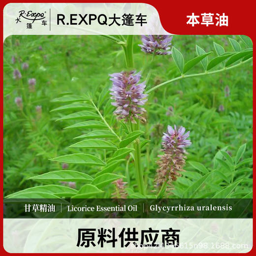 甘草精油原料批发芳疗护理调香本草精油Licorice 商品图0