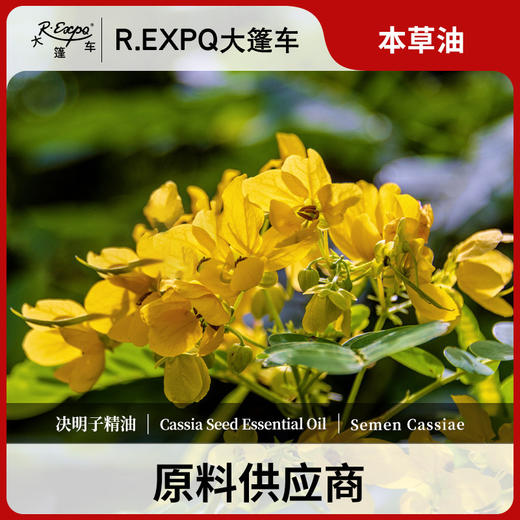 决明子精油单方精油原料批发芳疗护理调香香薰 大篷车精油 商品图0