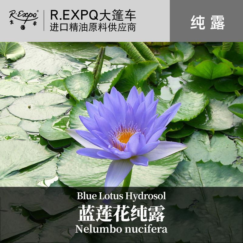 蓝莲花纯露 印度原料批发 SPA花水纯露 美容院线适用花水纯露