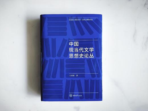 中国现当代文学思想史论丛 商品图1