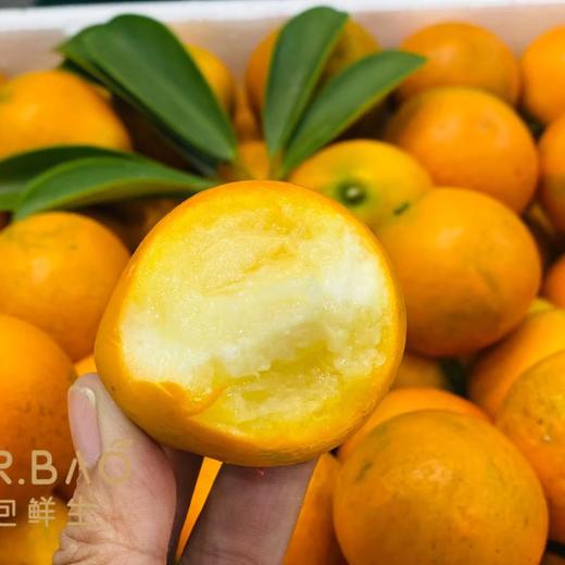 特级蜜蛋金柑（500g） 商品图5