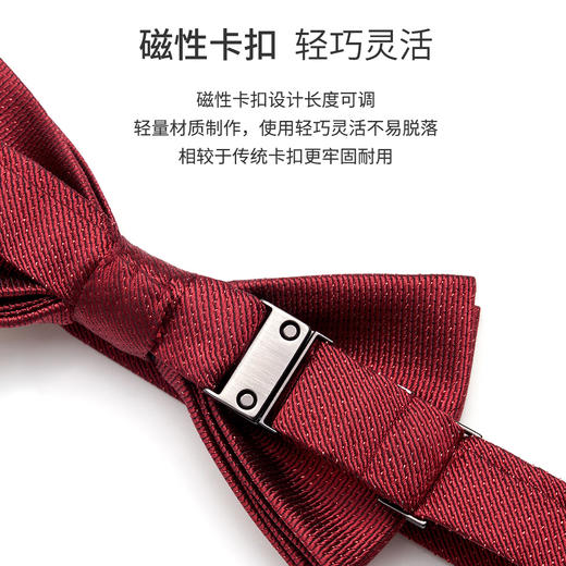 桑蚕丝领带领结套装 商品图3