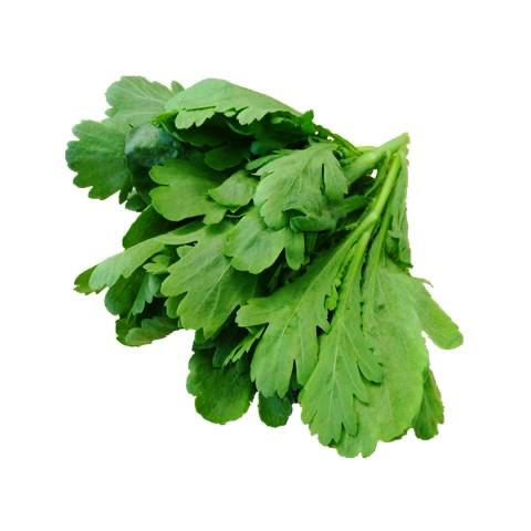 有机大叶茼蒿500g 商品图1