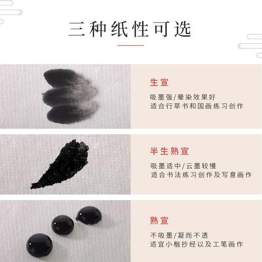 【福利】宣纸书法专用纸成人初学者创作毛笔练习熟宣半生半熟宣纸国画创作 商品图3