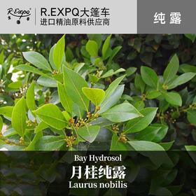 月桂纯露 波斯尼亚原料批发 大篷车花水纯露  1kg起批