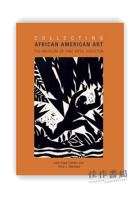 Collecting African American Art: The Museum of Fine Arts、Houston / 收藏非裔美国艺术：休斯顿美术博物馆