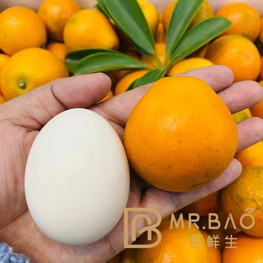 特级蜜蛋金柑（500g） 商品图3