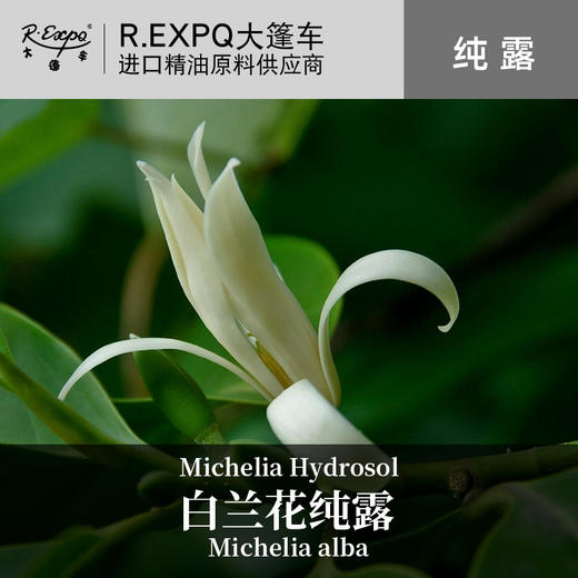 白兰花纯露 面部按摩花水纯露批发 美容院适用SPA纯露 商品图0