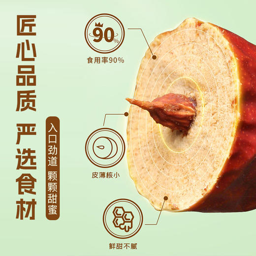 金健缘和田大枣 商品图1