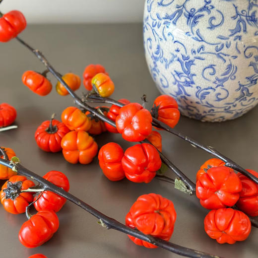 小南瓜丨3-5支丨【运输易掉果，不售后介意勿拍】 商品图1