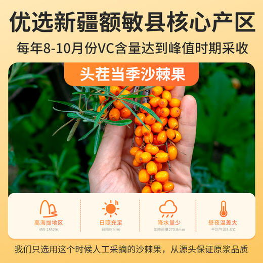 【1/4/12盒】养瑞和丨沙棘原浆·35ml*7袋/盒 FX-A-1418-231215 商品图2