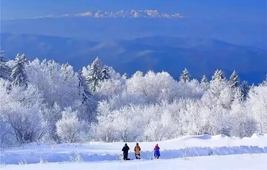 【东北】寒假长白山亲子营 6天5晚 商品图0