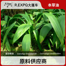 仙茅精油原料批发芳疗护理调香推拿按摩本草精油Curculigo