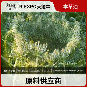 蛇床子精油 单方精油原料批发芳疗护理调香 大篷车精油