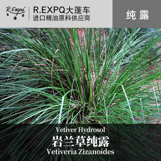 岩兰草纯露 原料批发面部SPA按摩纯露花液 花水纯露爽肤水大篷车 商品图0