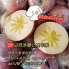 【XZG】山西冰糖心丑苹果 商品缩略图0