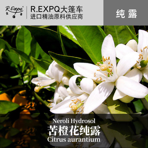苦橙花纯露 印度原料批发 面部SPA按摩纯露 大篷车花水纯露 商品图0